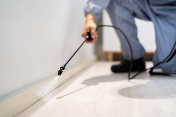 Licensed Termite Control service in Morrison, IL - Nex Pest Control