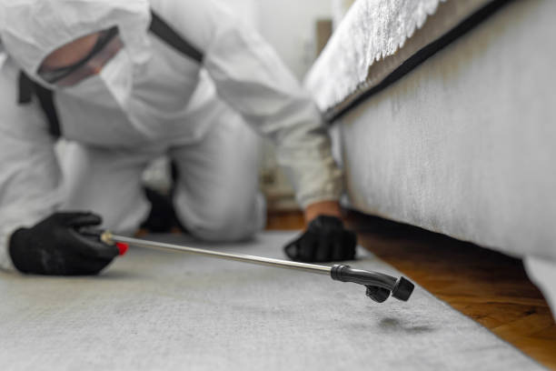 Professional Termite Control technician working in Morrison, IL