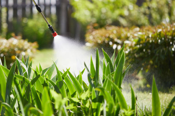 24/7 Emergency Termite Control experts in Morrison, IL