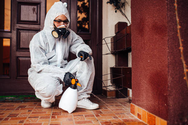 Reliable Termite Control contractor in Morrison, IL by Nex Pest Control